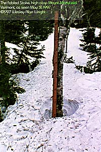The Fabled Stake, High Atop Mount Mansfield